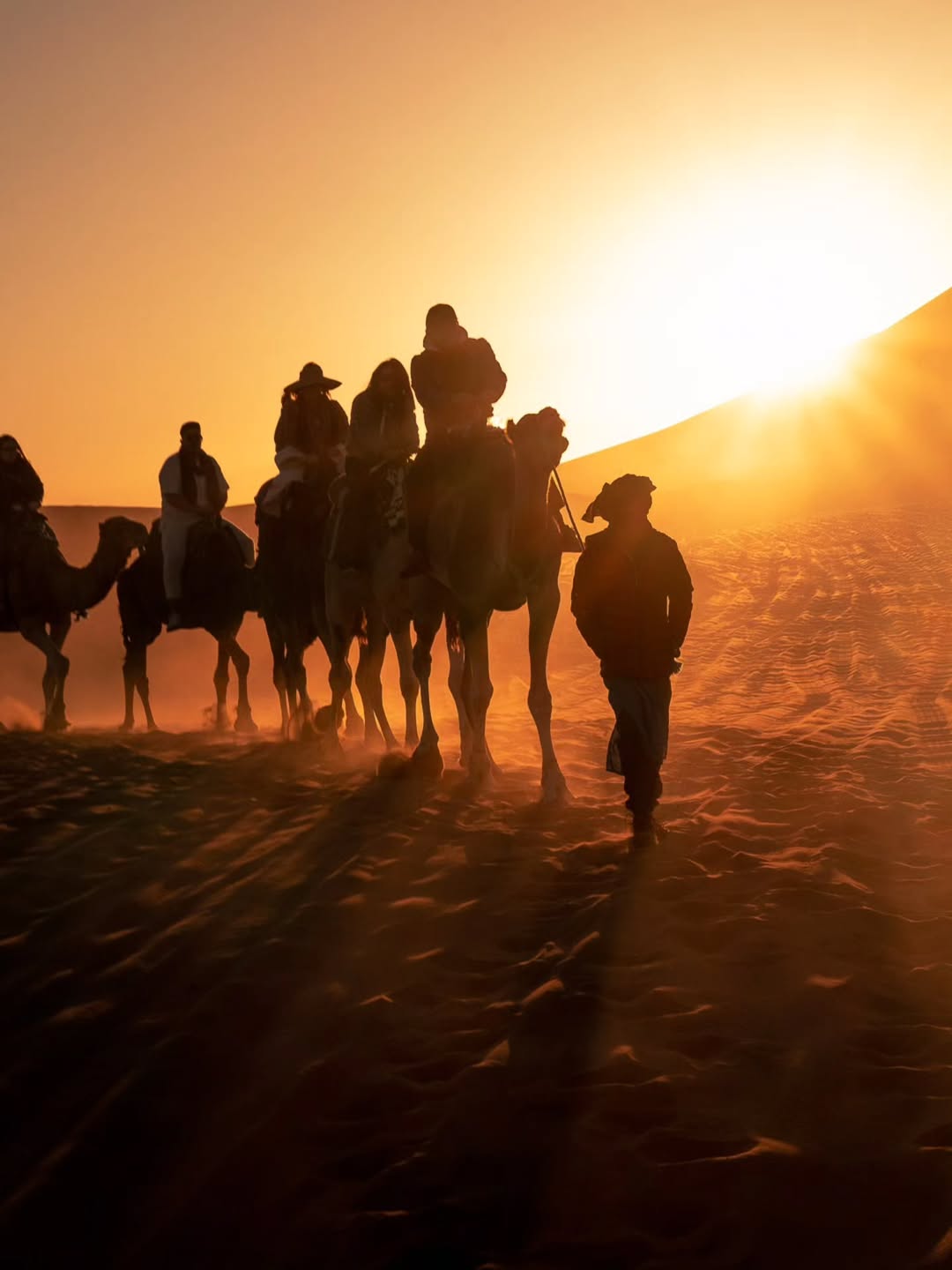 Palmerales y una kasbah de adobe en el valle del Draa en la ruta de Marrakech a Zagora
