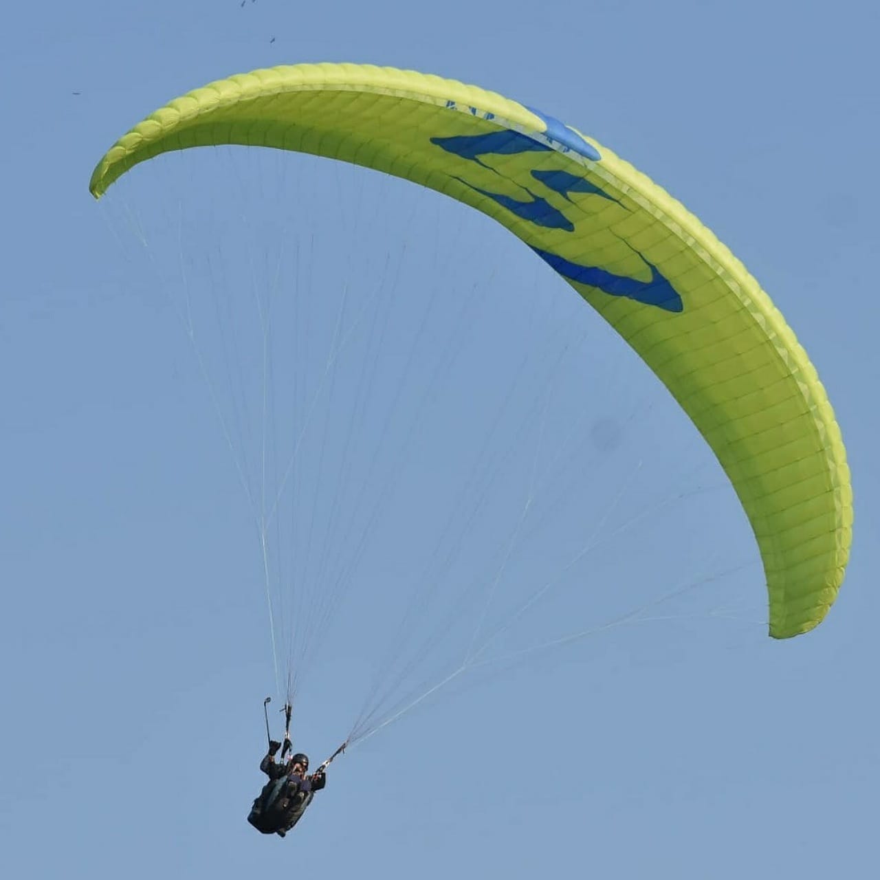 Green tandem paragliding wing seen from below against a clear blue sky