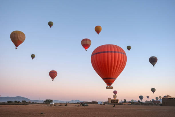 A fleet of hot-air balloons rising at dawn over the plain outside Marrakech