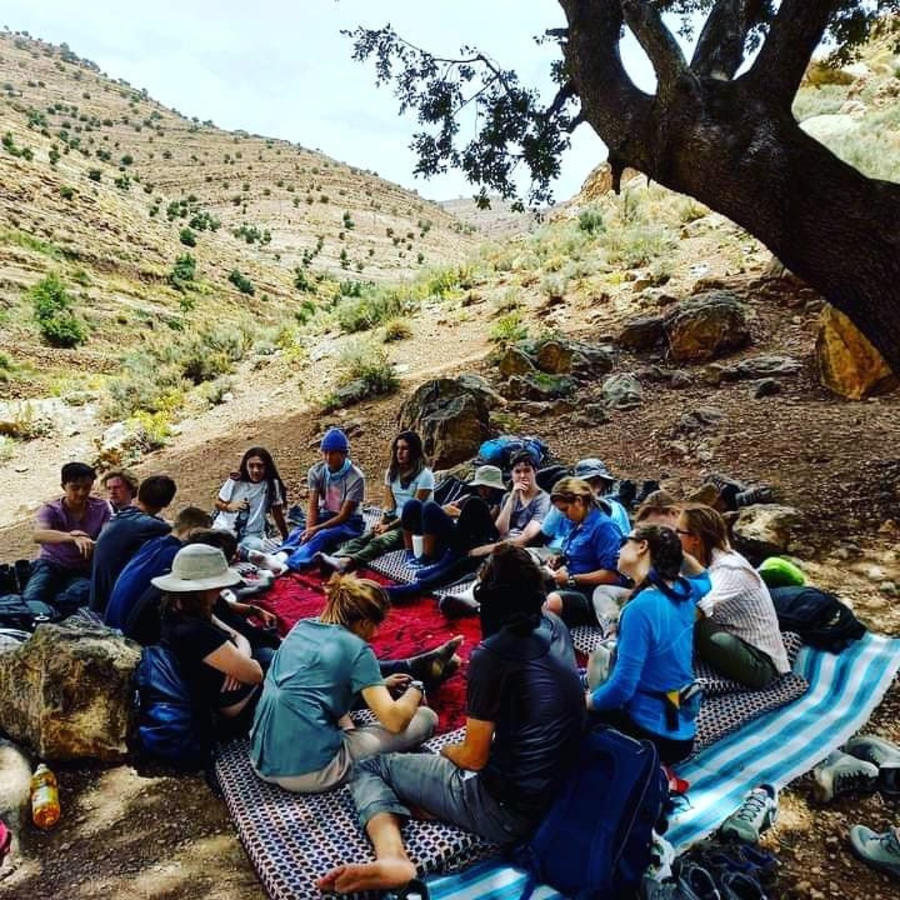 A trekking group resting on rugs under a tree during a mountain picnic lunch