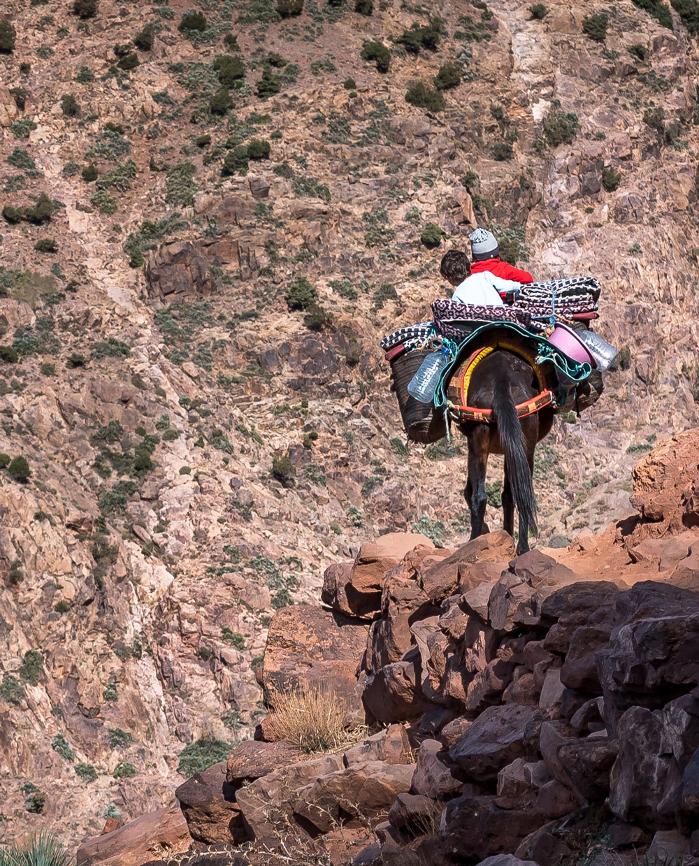 Child riding a saddled and blanketed mule along a rocky High Atlas mountain path