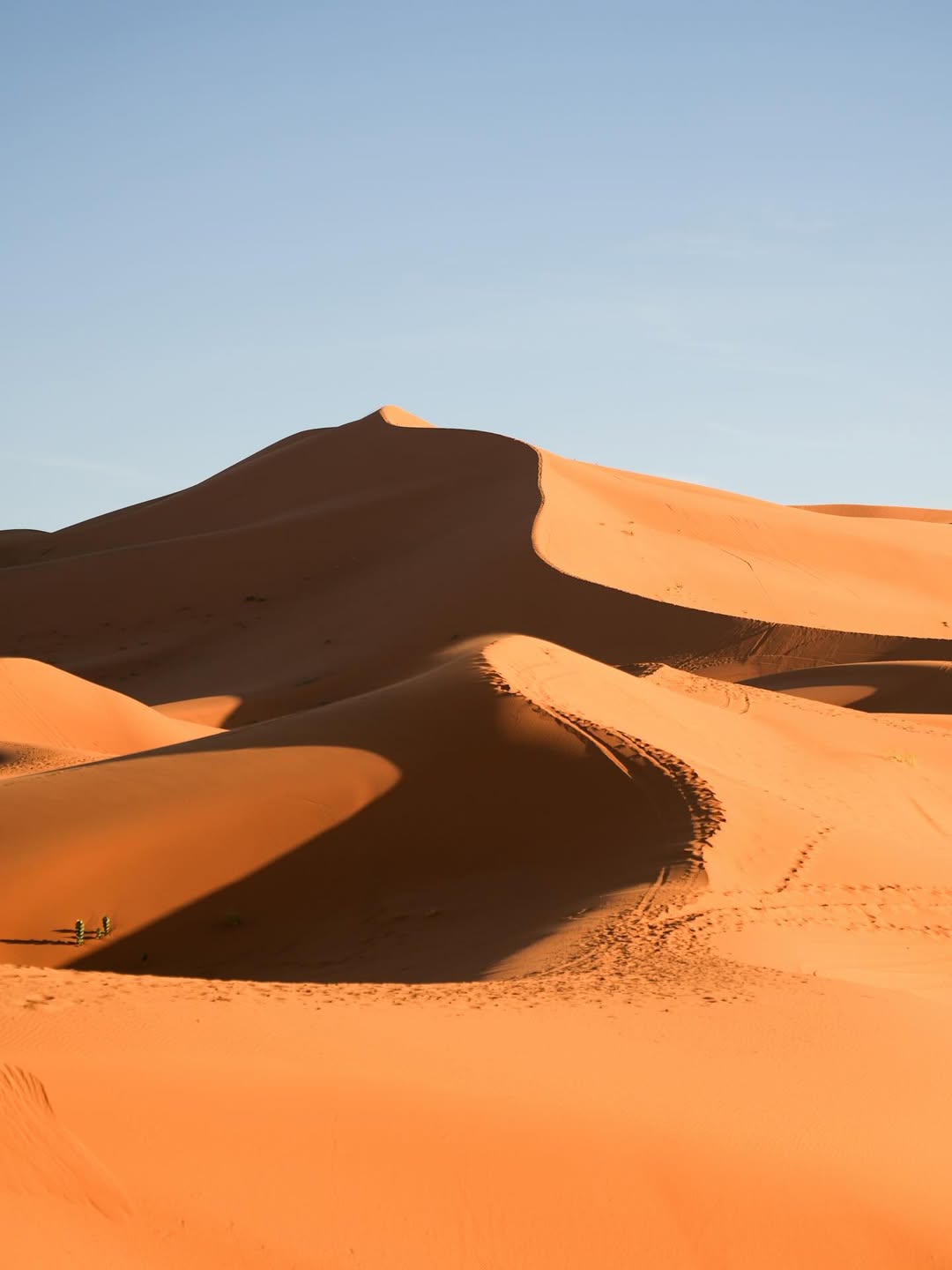 Sculpted orange dune ridges and shadow lines at Erg Chebbi under a clear Sahara sky