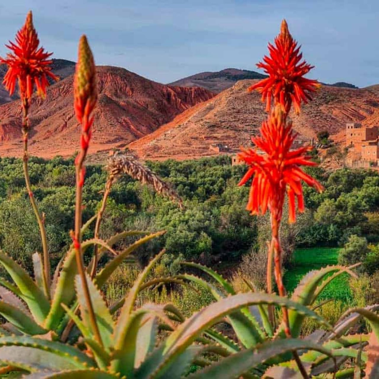 Valles verdes del Alto Atlas en Marruecos
