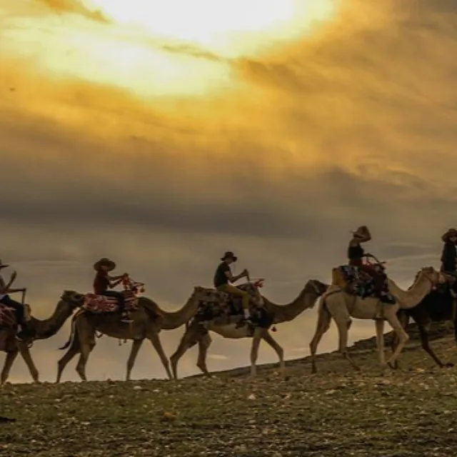 A camel caravan silhouetted along a desert ridge under a golden sunset sky near Marrakech