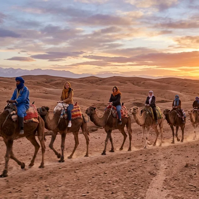 A guide leading a line of guests on camels across the Agafay desert with the Atlas mountains and a sunset sky behind