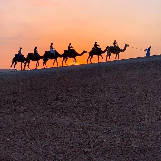 A camel caravan led by a guide silhouetted along a desert ridge against an orange sunset sky