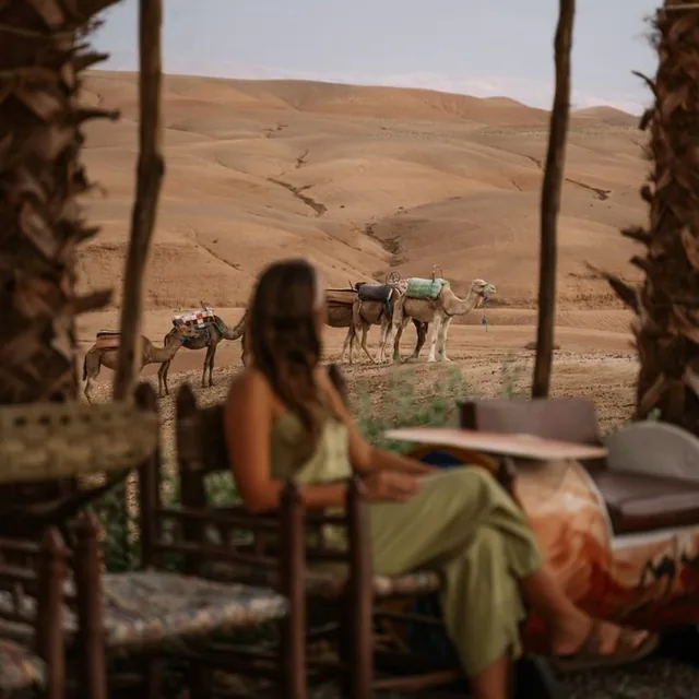 A guest resting in a shaded camp lounge while saddled camels wait on the stony hills of the Agafay desert