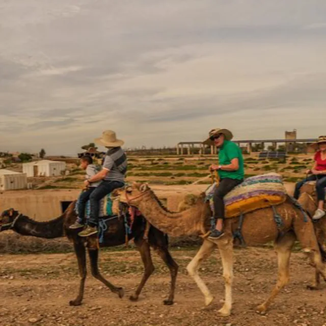 A camel caravan carrying adults and children in sun hats across the stony Agafay desert at dusk