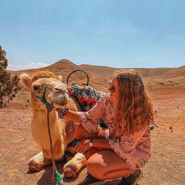 A traveller crouching beside a resting camel with a colourful woven saddle in the desert hills near Marrakech