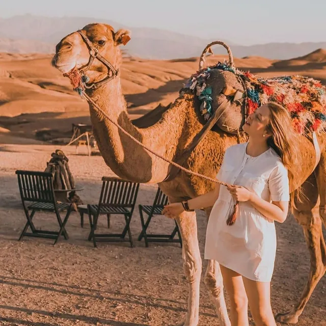 A traveller in a white dress holding the rope of a decorated camel in the golden desert at sunset
