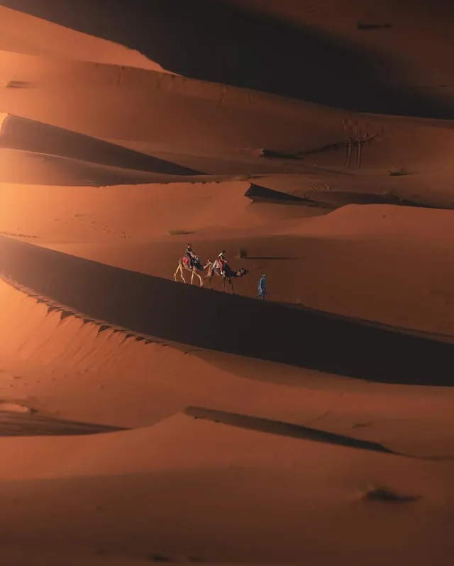 Two camel riders and their guide crossing a dune ridge in warm late light