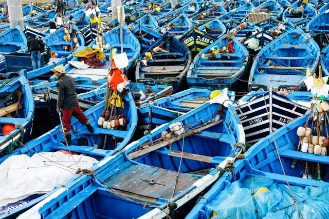 Ein Fischer steigt im Hafen von Essaouira zwischen dicht gedrängten blauen Holzbooten hindurch