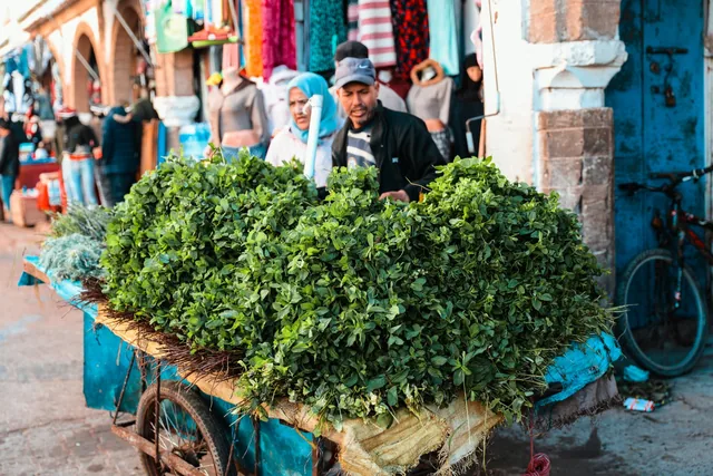 A vendor pushing a cart piled with fresh mint through the Essaouira medina