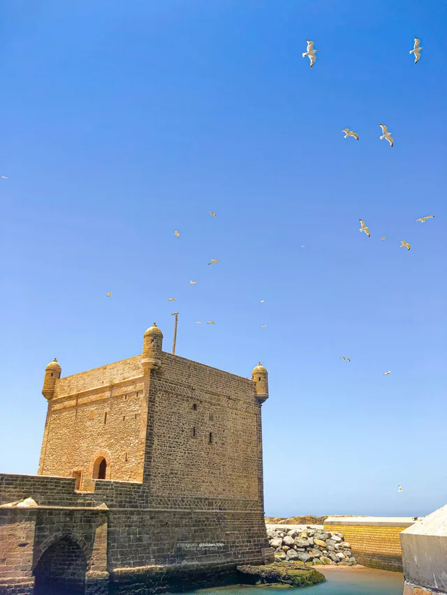 The stone Skala fortress tower of Essaouira with gulls wheeling in a blue sky