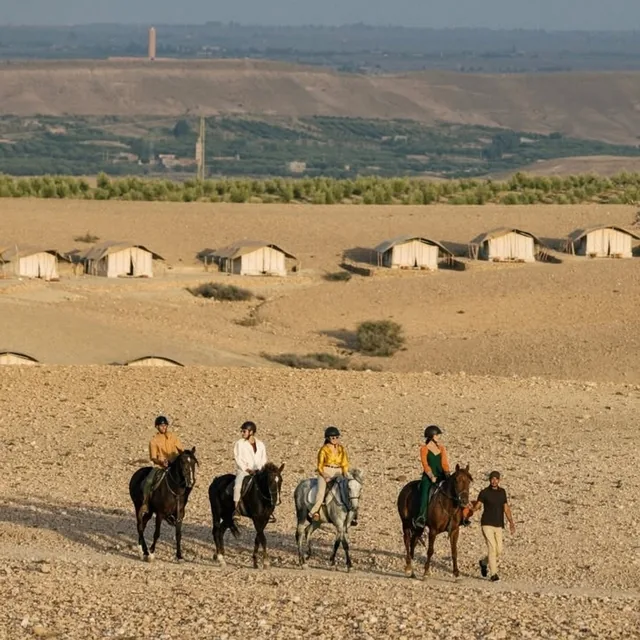 A group riding past a tented desert camp in the Agafay with olive groves behind