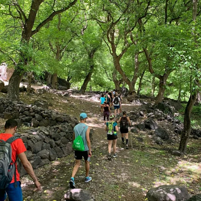 A group of walkers following a shaded trail through a walnut grove in the Atlas Mountains