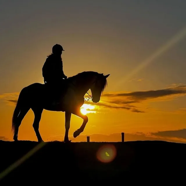 Horse and rider silhouetted against a golden sunset sky
