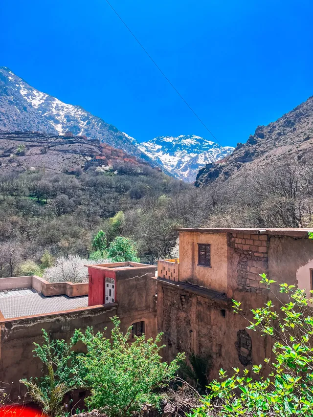 Imlil rooftops and blossoming walnut trees below the snow-covered ridges of Mount Toubkal