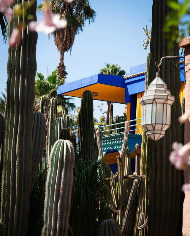 The cobalt blue and yellow pavilion of the Jardin Majorelle framed by tall cacti