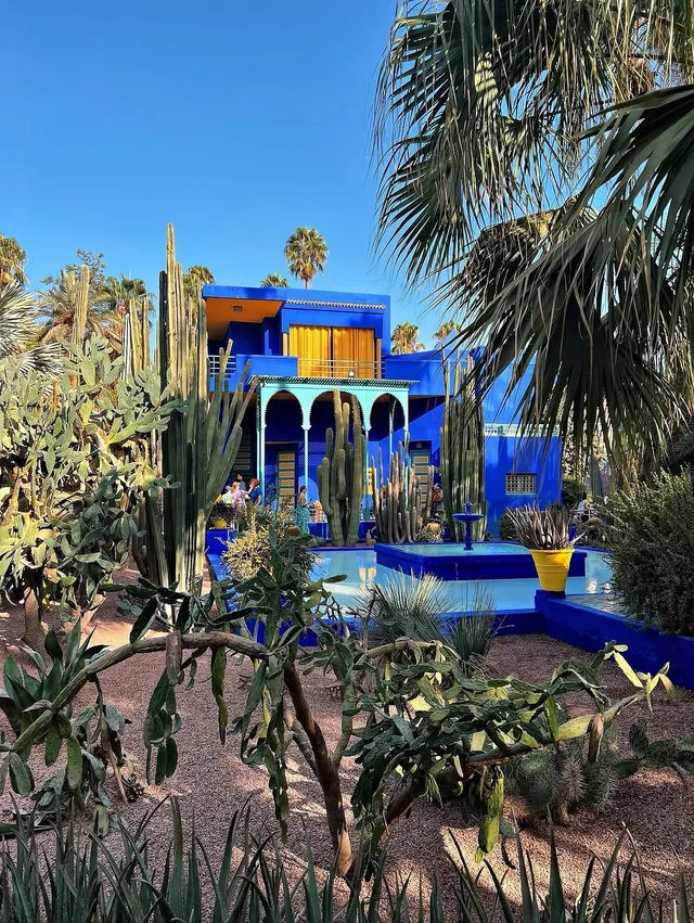 The Jardin Majorelle pool, blue villa and yellow planters surrounded by cactus beds