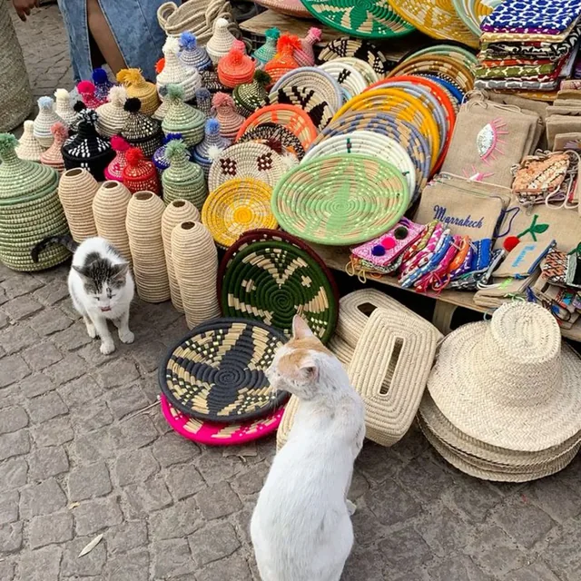Woven baskets, pompom lidded pots and straw hats on a Marrakech street stall with two cats sitting nearby