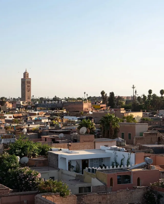 Marrakech medina rooftops and palms with the Koutoubia minaret rising beyond