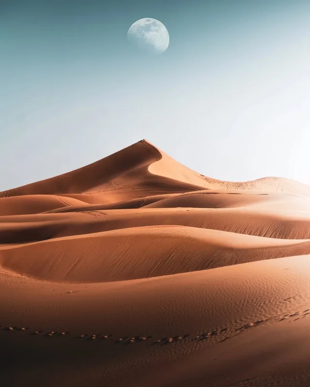 Smooth Sahara dunes curving under a pale daytime moon