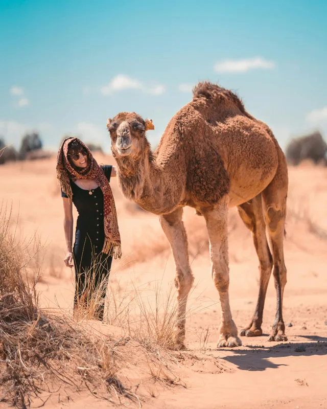 A traveller in a patterned headscarf standing beside a tall camel on open desert scrub