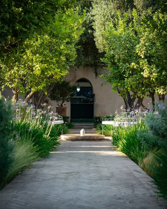 A stone path lined with orange trees and lavender leading to a low fountain in a walled Marrakech garden
